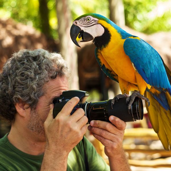 Macaw - Ph: Heiner Pflug - Rio de Janeiro, 2015