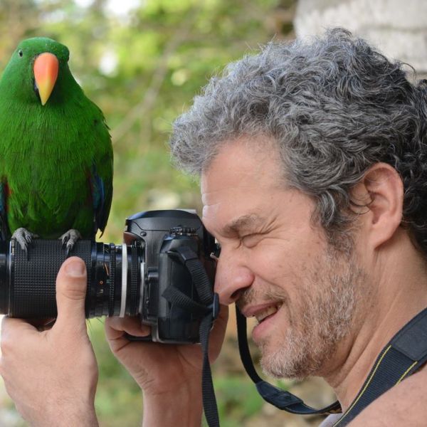 Bird Eclectus, Angra dos Reis, 2013