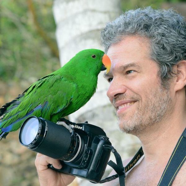 Bird Eclectus, Angra dos Reis, 2013