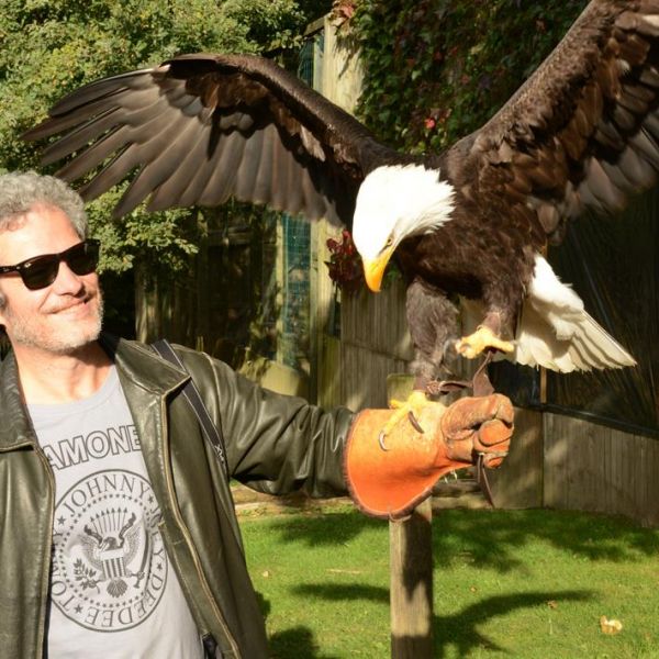 Shooting with Bald Eagle, Puy du Fou, France, 2015