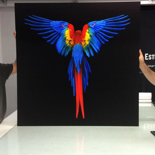 At Lupa Printing Studio with Marco Favarini, Rio 2019